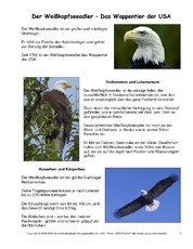 Weißkopfseeadler-Steckbrief.pdf